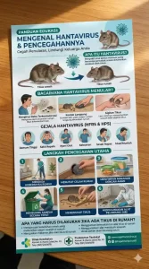 Edukasi Hantavirus yang Efektif dengan Media Brosur